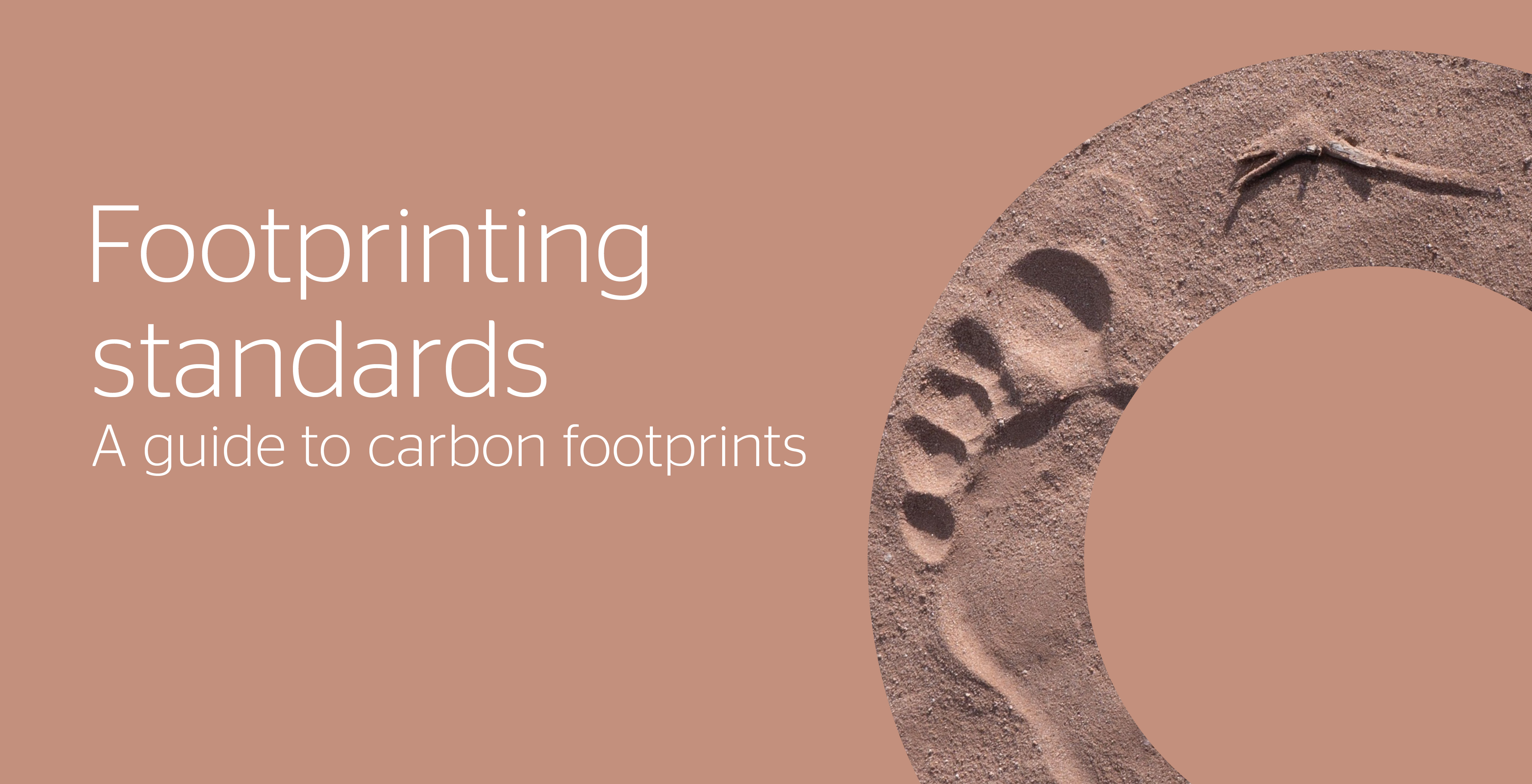 Carbon footprinting factsheet | Download now
